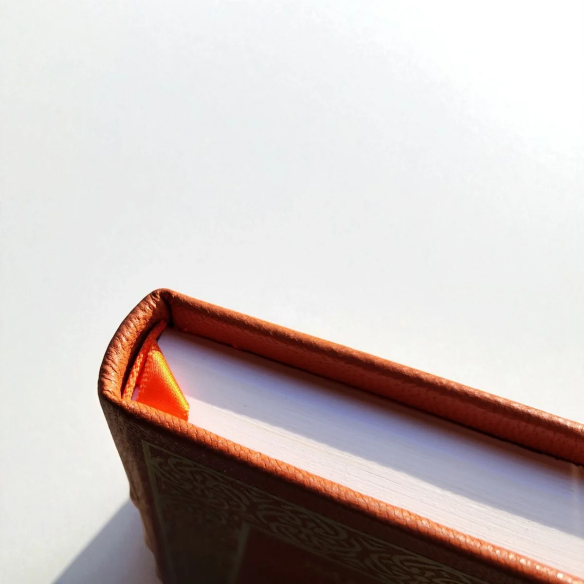 The Bitcoin Standard: Leather Bound Edition by LeatherMint - Image 5